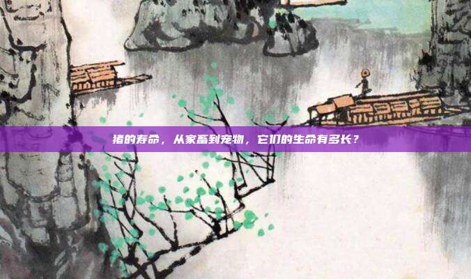 猪的寿命，从家畜到宠物，它们的生命有多长？