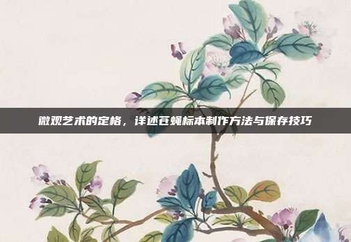 微观艺术的定格，详述苍蝇标本制作方法与保存技巧