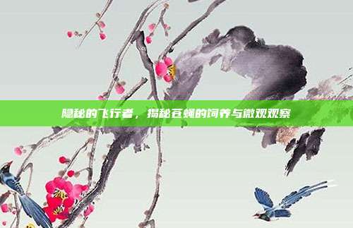 隐秘的飞行者，揭秘苍蝇的饲养与微观观察