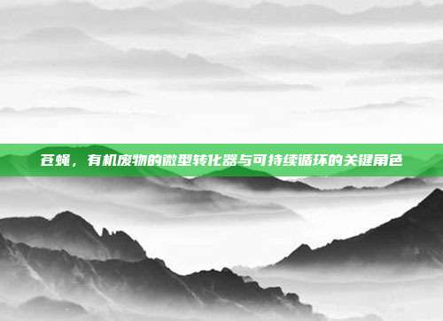 苍蝇，有机废物的微型转化器与可持续循环的关键角色