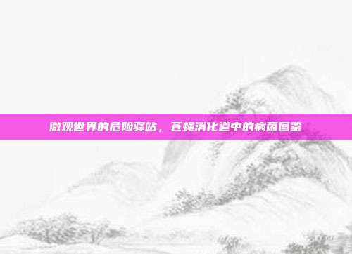 微观世界的危险驿站，苍蝇消化道中的病菌图鉴