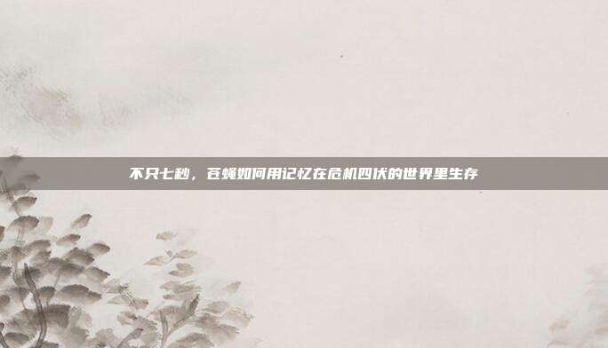 不只七秒，苍蝇如何用记忆在危机四伏的世界里生存