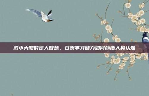 微小大脑的惊人智慧，苍蝇学习能力如何颠覆人类认知