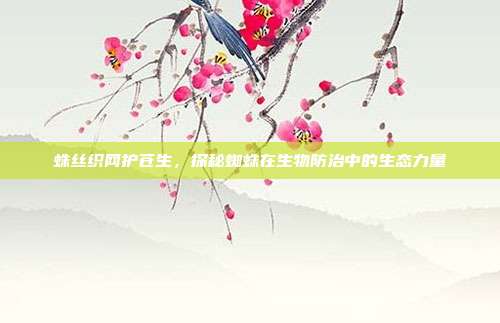 蛛丝织网护苍生，探秘蜘蛛在生物防治中的生态力量