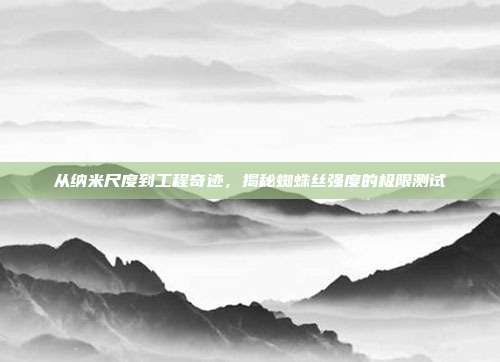 从纳米尺度到工程奇迹，揭秘蜘蛛丝强度的极限测试