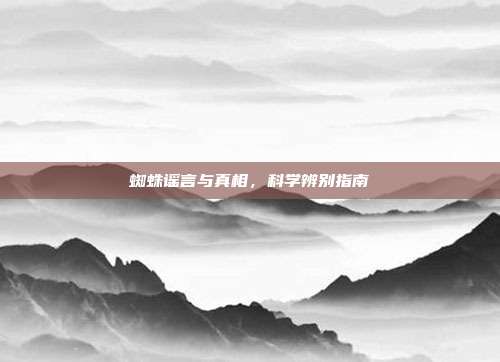 蜘蛛谣言与真相，科学辨别指南