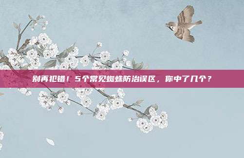 别再犯错！5个常见蜘蛛防治误区，你中了几个？