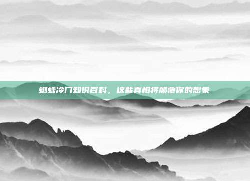 蜘蛛冷门知识百科，这些真相将颠覆你的想象