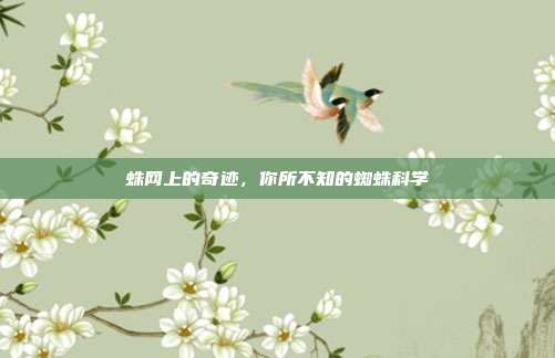 蛛网上的奇迹，你所不知的蜘蛛科学