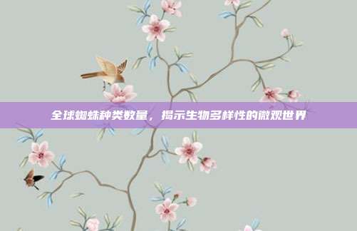 全球蜘蛛种类数量，揭示生物多样性的微观世界
