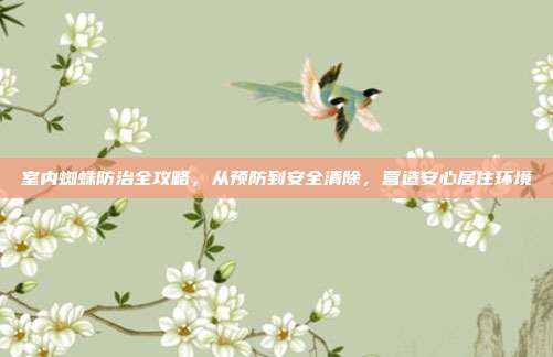 室内蜘蛛防治全攻略，从预防到安全清除，营造安心居住环境