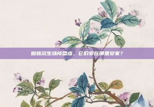 蜘蛛滋生场所盘点，它们爱在哪里安家？