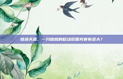 蛛迹天涯，一只蜘蛛的移动范围究竟有多大？