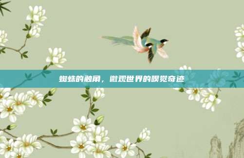 蜘蛛的触角，微观世界的嗅觉奇迹