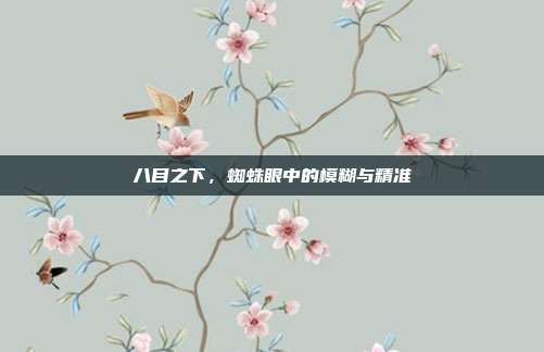 八目之下，蜘蛛眼中的模糊与精准