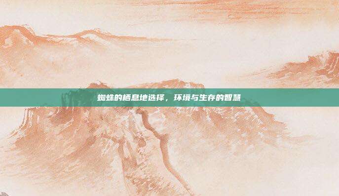 蜘蛛的栖息地选择，环境与生存的智慧