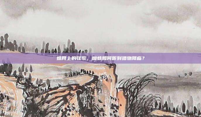 蛛网上的弦歌，蜘蛛如何听到猎物降临？