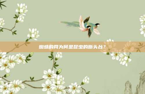 蜘蛛的网为何是昆虫的断头台？