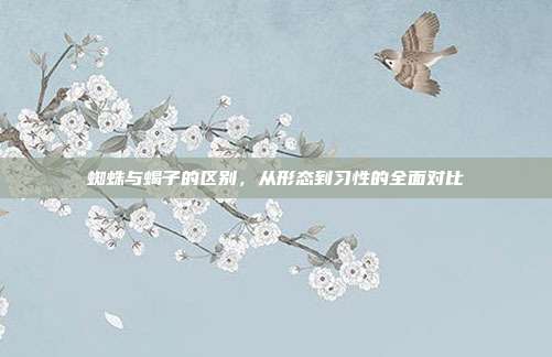 蜘蛛与蝎子的区别，从形态到习性的全面对比