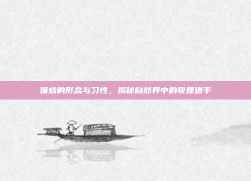 猫蛛的形态与习性，揭秘自然界中的敏捷猎手