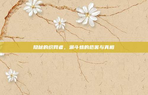 隐秘的织网者，漏斗蛛的危害与真相