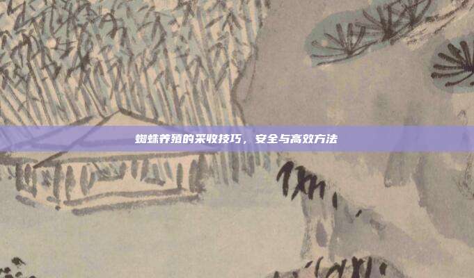 蜘蛛养殖的采收技巧，安全与高效方法