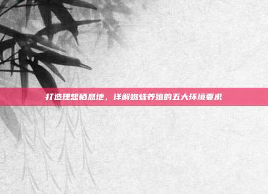 打造理想栖息地，详解蜘蛛养殖的五大环境要求
