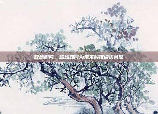 智慧织网，蜘蛛如何为未来科技编织灵感