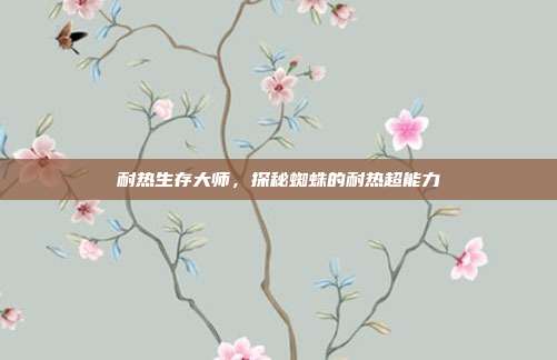 耐热生存大师，探秘蜘蛛的耐热超能力