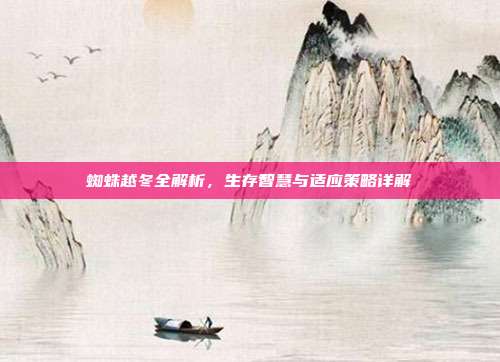 蜘蛛越冬全解析，生存智慧与适应策略详解