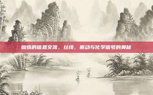 蜘蛛的信息交流，丝线、振动与化学信号的奥秘