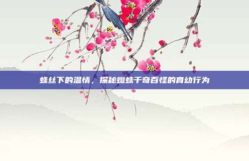 蛛丝下的温情，探秘蜘蛛千奇百怪的育幼行为