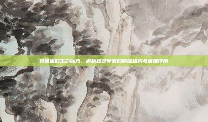 蛛巢里的生命魔方，解析蜘蛛卵囊的精密结构与多维作用