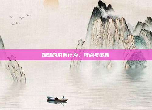 蜘蛛的求偶行为，特点与策略