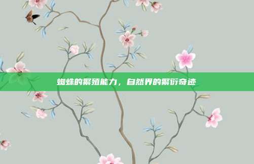蜘蛛的繁殖能力，自然界的繁衍奇迹