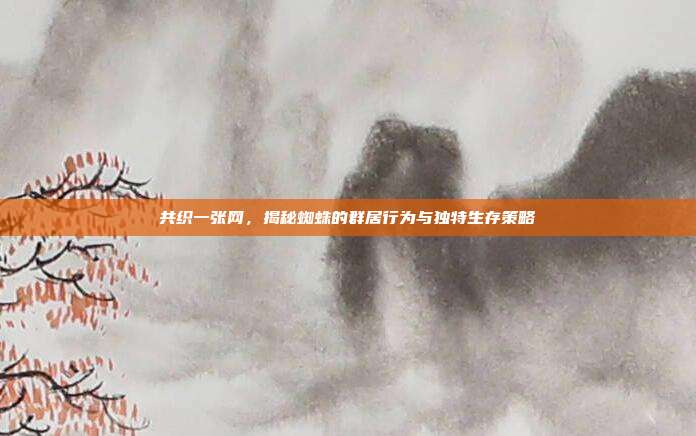 共织一张网，揭秘蜘蛛的群居行为与独特生存策略