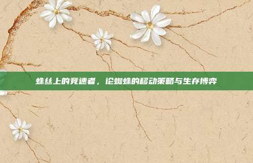 蛛丝上的竞速者，论蜘蛛的移动策略与生存博弈