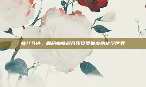 蛛丝马迹，解码蜘蛛超凡嗅觉灵敏度的化学世界