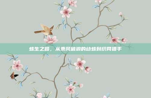 蛛生之路，从乘风破浪的幼蛛到织网猎手