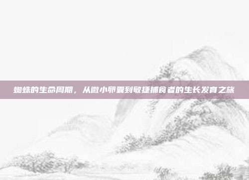 蜘蛛的生命周期，从微小卵囊到敏捷捕食者的生长发育之旅