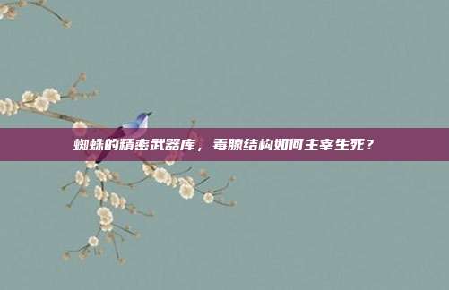 蜘蛛的精密武器库，毒腺结构如何主宰生死？