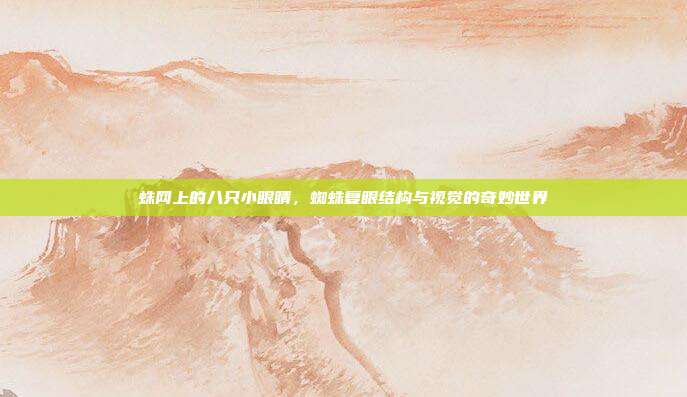蛛网上的八只小眼睛，蜘蛛复眼结构与视觉的奇妙世界