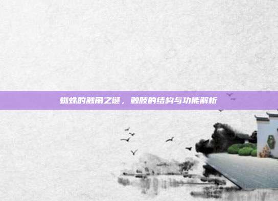 蜘蛛的触角之谜，触肢的结构与功能解析