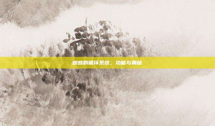 蜘蛛的循环系统，功能与奥秘