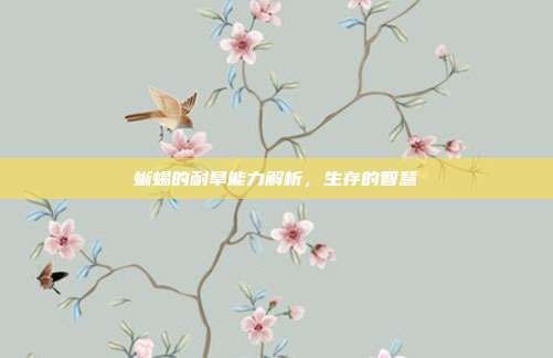 蜥蜴的耐旱能力解析，生存的智慧