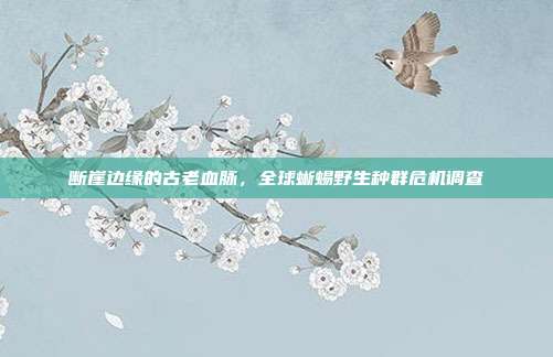 断崖边缘的古老血脉，全球蜥蜴野生种群危机调查
