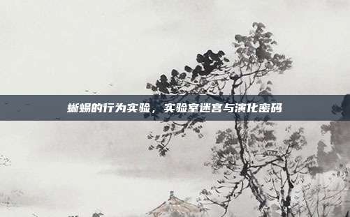 蜥蜴的行为实验，实验室迷宫与演化密码