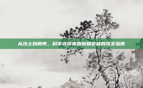 从沙土到椰壳，科学选择宠物蜥蜴垫材的完全指南