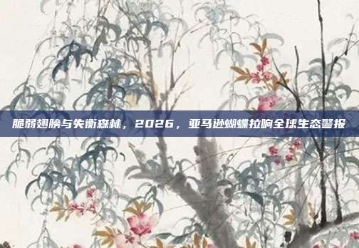 脆弱翅膀与失衡森林，2026，亚马逊蝴蝶拉响全球生态警报