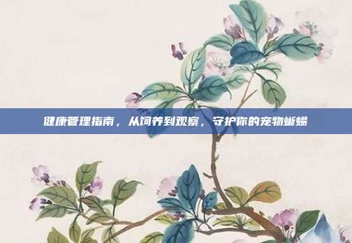 健康管理指南，从饲养到观察，守护你的宠物蜥蜴